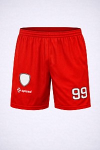 Herren Trikot Rio